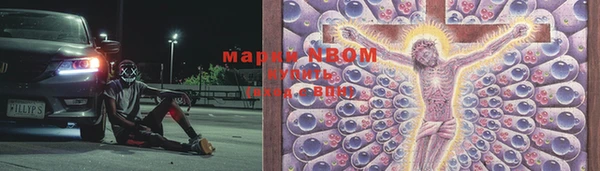 гашик Дмитриев