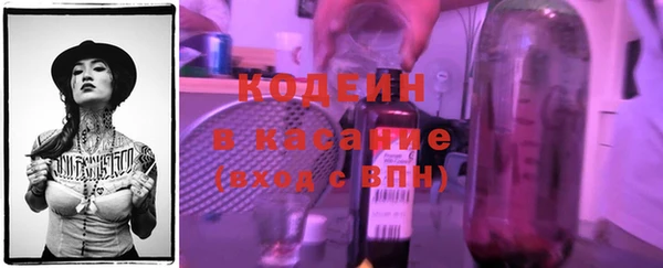 гашик Дмитриев