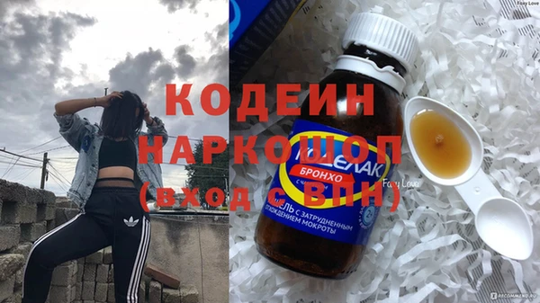 гашик Дмитриев
