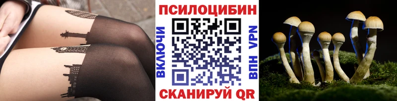 Псилоцибиновые грибы ЛСД  как найти наркотики  Мещовск 